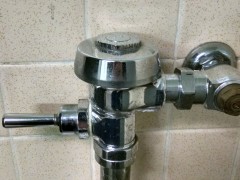 Flush valve rebuild.